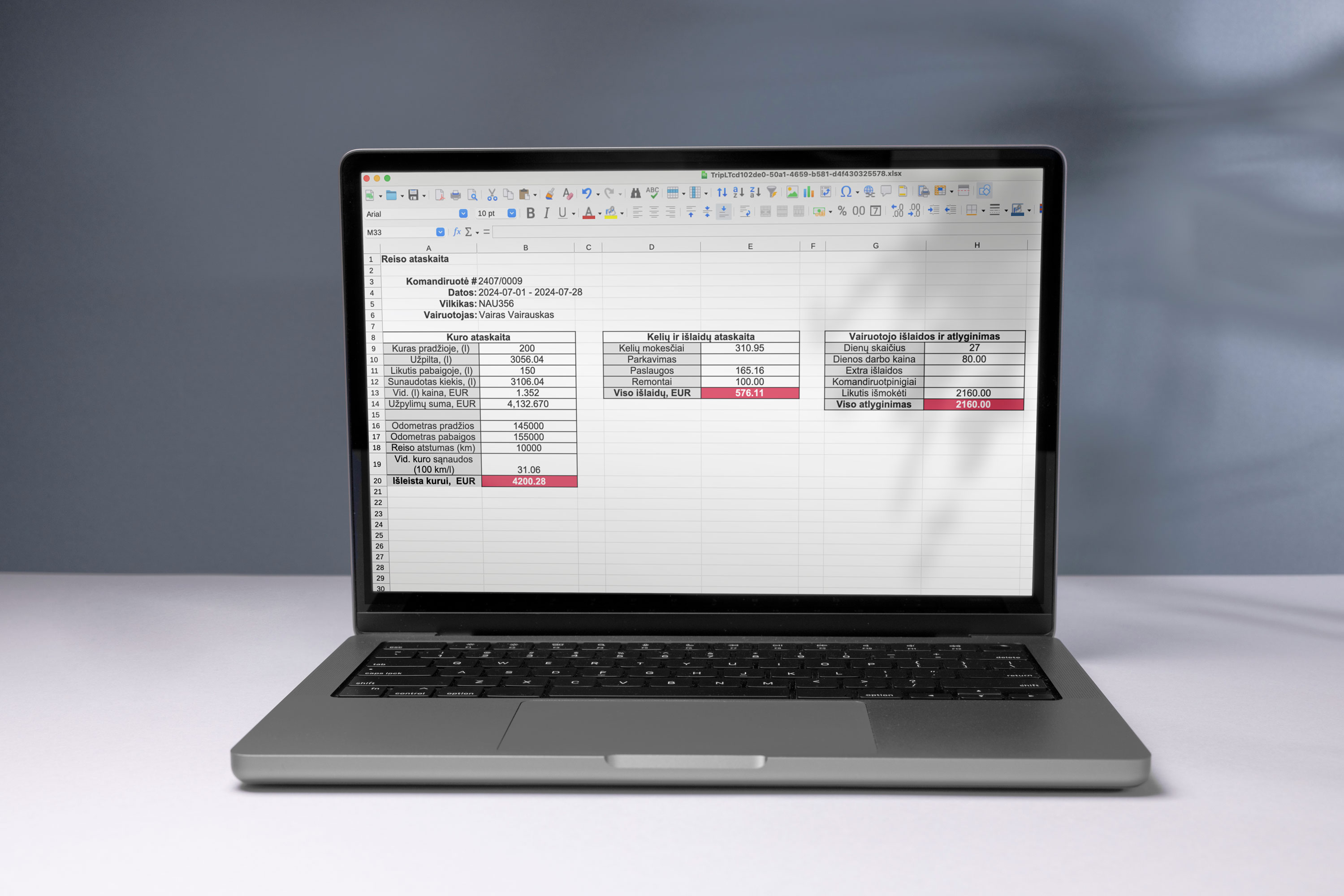 Reiso ataskaita - ilgai lauktas ir svarbus TMS Globe atnaujinimas